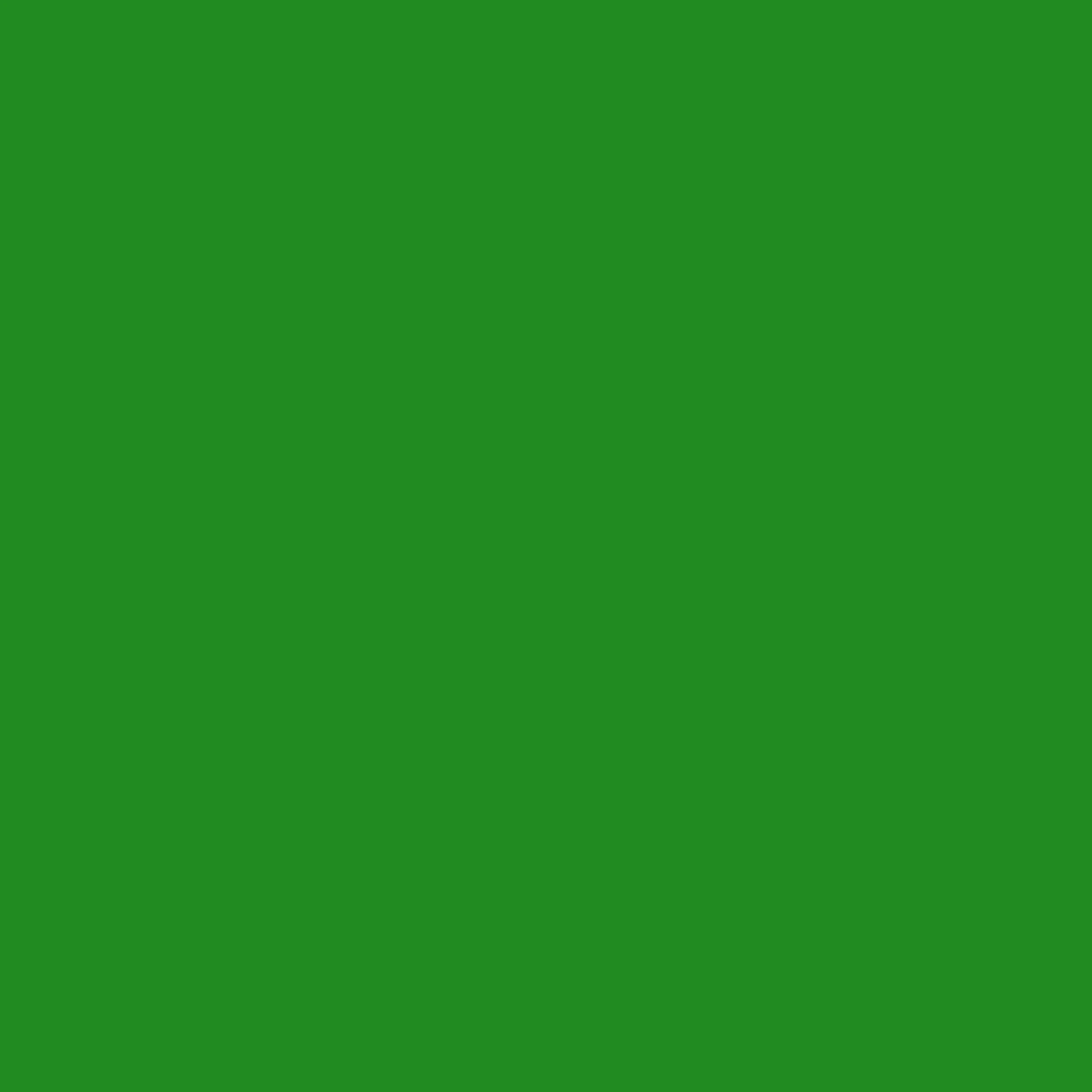 Forest-green-web-background-image.webp
